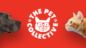 the pet collective