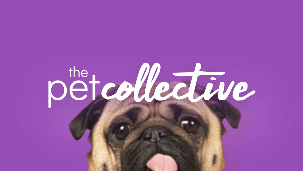 the pet collective